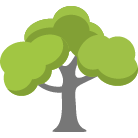 Anaheim Tree Removal Service