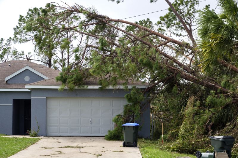Fallen Tree on a Residential Property